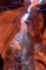 Arizona