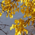 IMG 0032asm
