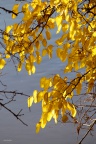 IMG 0032asm