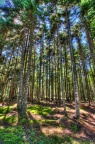  MG 6627 8 9 tonemappedsm