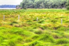 MG 6733 tonemappedsm