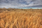 Nebraska