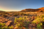 NewMexico