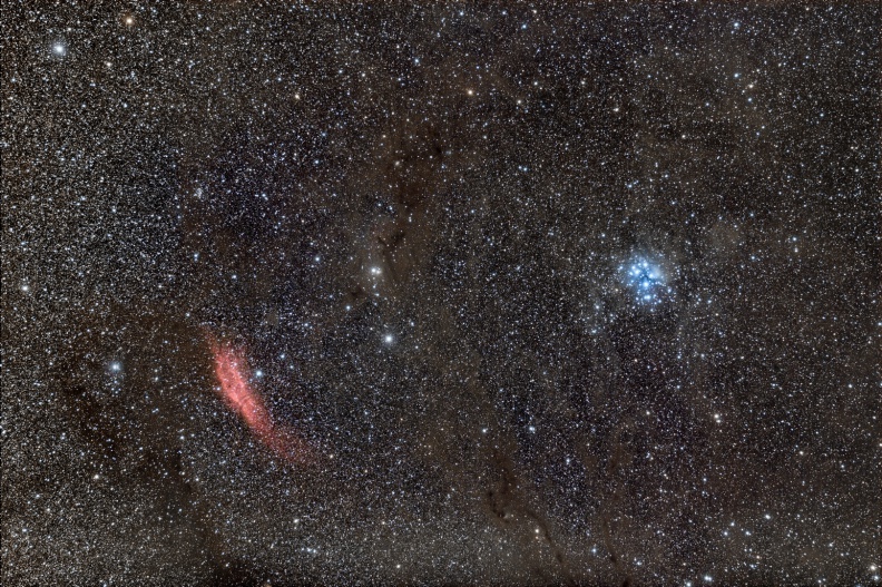 m45calaL_sm.jpg
