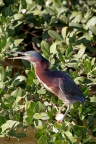 SouthPadreIsland