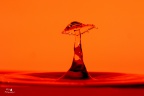 SplashPhotography