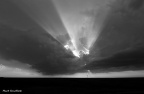 CRW 0991bwsm