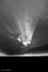 CRW 0995bwsm